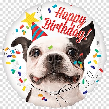 Mylar balloon Balloon Dog Birthday, balloon transparent background PNG clipart