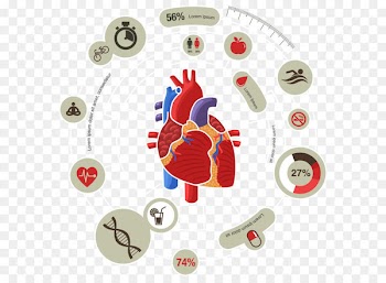 Myocardial infarction Heart Cardiovascular disease Symptom - Medical Biology Innovation Chart Vector 