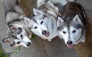 mypack_sept2014.jpg
