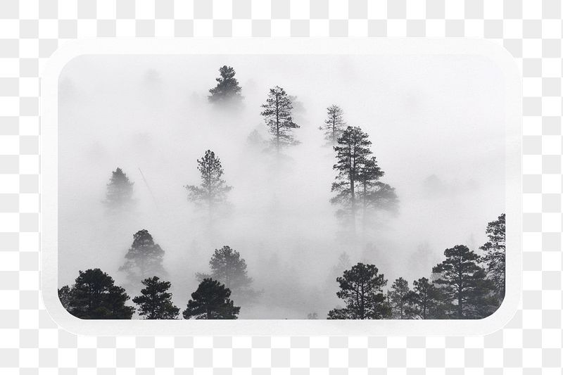 Mysterious forest png rectangle badge | Free PNG - rawpixel
