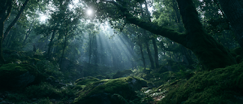 Mystical Ancient Forest with God Rays