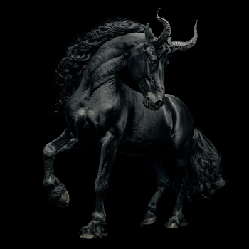 Mystical Black Horse with Devil Horns