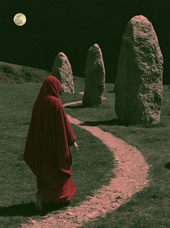 Mystical Journey Under the Moonlight