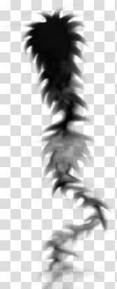 MZA Abstract Brush Set , black smoke illustrartion transparent background PNG clipart