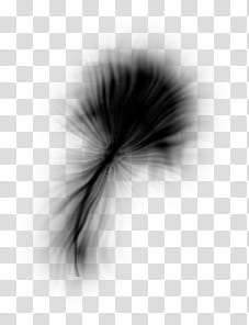 MZA Abstract Brush Set , black smoke illustration transparent background PNG clipart