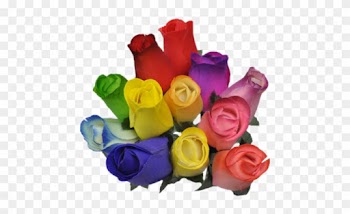 N1ghtcrawlers - Bouquet Of Different Color Roses