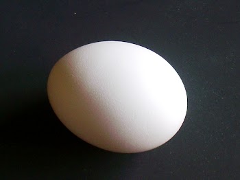 n45eb 005.jpg