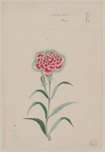 Nadeshiko &ndash; May (ca. 1870&ndash;1880) | Free Photo - rawpixel