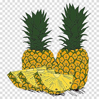 Nago Pineapple Park Fruit Illustration, Hand-painted pineapple transparent background PNG clipart