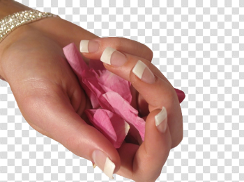 Nails PNG High-Quality Image