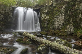 Naked Creek Falls, forest stream | Free Photo - rawpixel