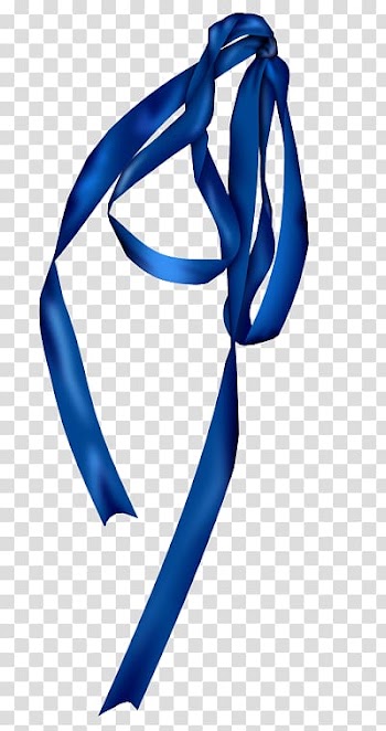Name, Blue Ribbon transparent background PNG clipart
