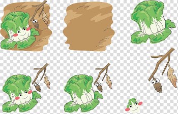 Napa cabbage Chinese cabbage Vegetable Illustration, Ground cabbage expression transparent background PNG clipart
