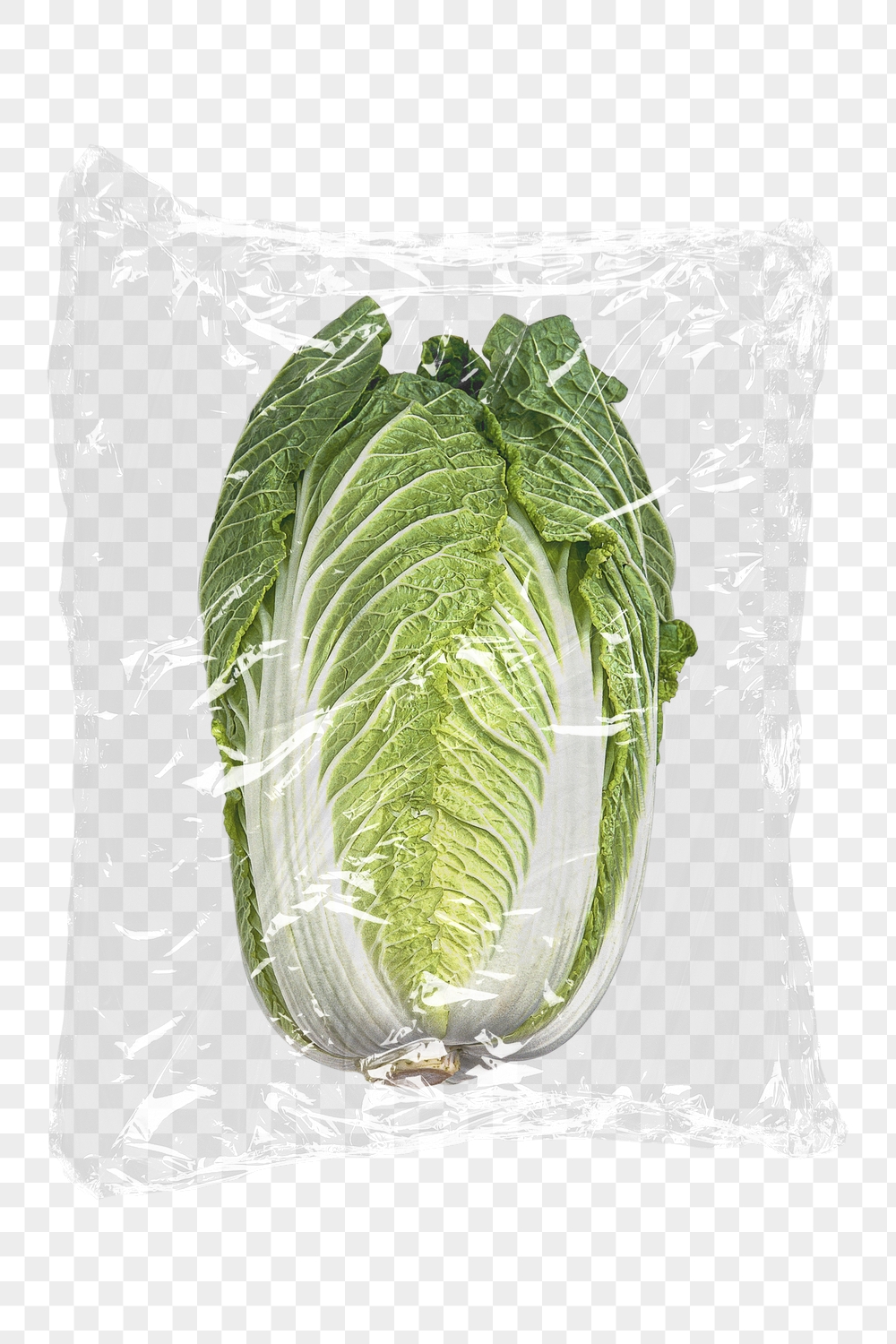 Napa cabbage png plastic packaging | Free PNG - rawpixel