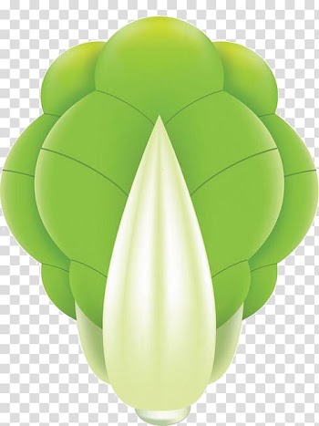 Napa cabbage Vegetable Chinese cabbage, Cabbage transparent background PNG clipart