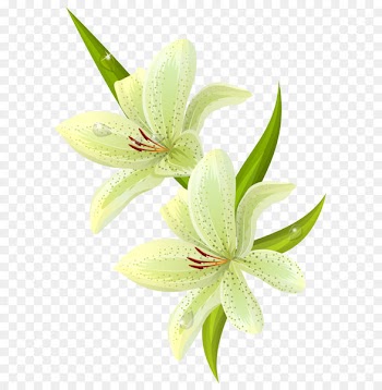 Napkin Paper Flower Painting Decoupage - Lilium PNG Clipart Picture 