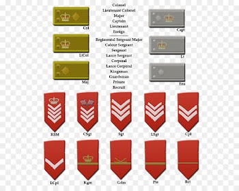 Napoleonic Wars Military rank British Army officer rank insignia Soldier - military 