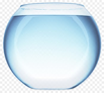 Narahenpita Salud elemental Fish medicine Aquarium - bowl 