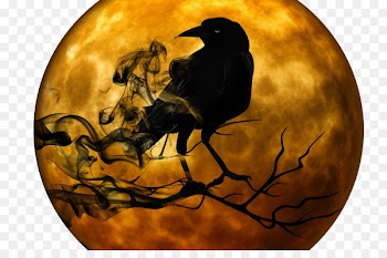 Narrative YouTube Halloween Ghost story - crow 