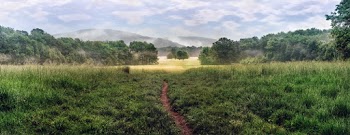 Narrow Aisle Between Grass Field