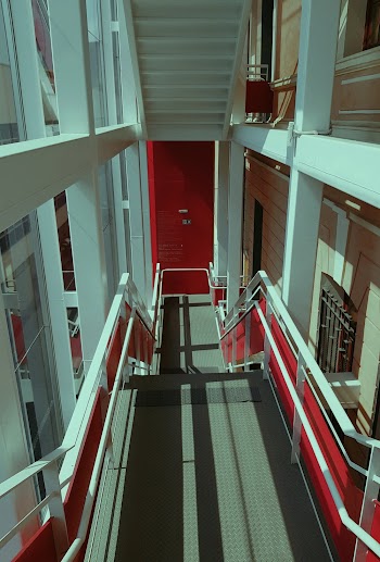 Narrow Pathway Leading Down the Stairs