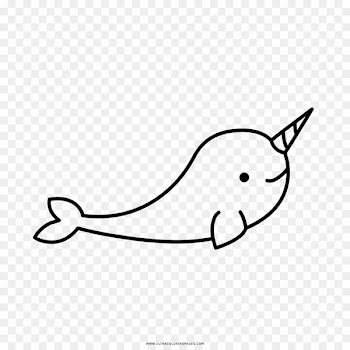 Narwhal Drawing Coloring book Marine mammal Animal - narwal 