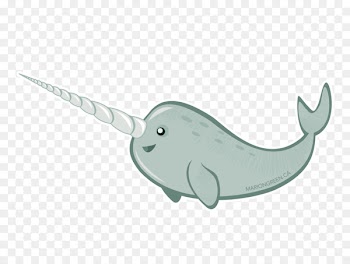 Narwhal Polar bear Sticker Animation Porpoise - narwhal 