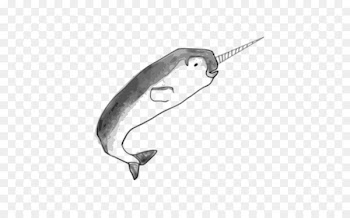 Narwhal Toothed whale Drawing Blanket Sketch - narwhal 