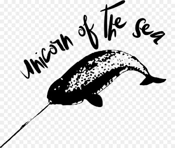 Narwhal Unicorn Marine mammal Brindle Horn - narwhal 