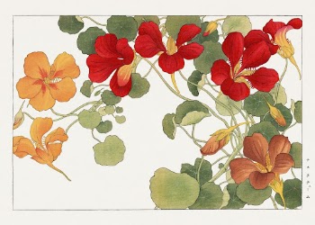 Nasturtium flower, Japanese woodblock art | Free Photo Illustration - rawpixel