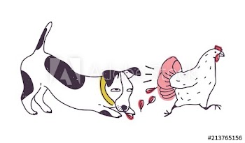 Nasty dog chasing chicken isolated on white background
