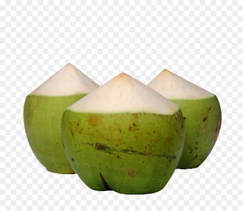 Nata de coco Coconut water Fruit - Green coconut 