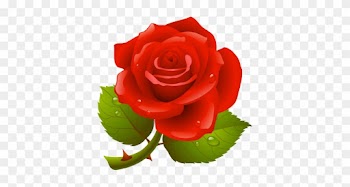 Natali На - Clip Art Of Rose