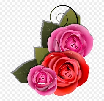 Natali На - Garden Roses