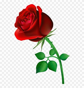 Natali На - Happy Rose Day Shayari