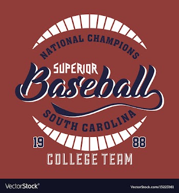 National champions superior baseball vector image