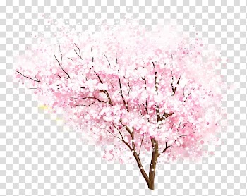 National Cherry Blossom Festival, Hand painted watercolor pink peach tree transparent background PNG clipart