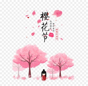 National Cherry Blossom Festival Japan - Cherry blossoms cherry blossoms 