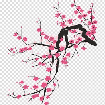 National Cherry Blossom Festival Sakura Square, cherry blossom transparent background PNG clipart
