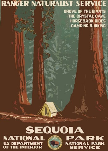 National park poster, camping illustration | Free PSD - rawpixel