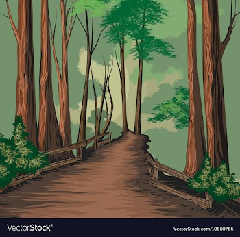 National park vector image