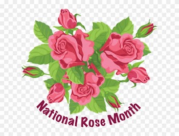 National Rose Month - Use It Or Lose