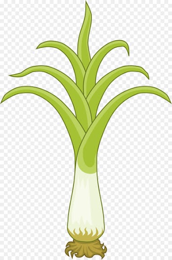 National symbols of Wales Leek soup Welsh Dragon - daffodil 