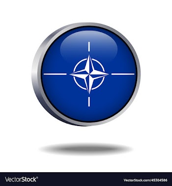 nato flag button