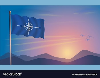 nato flag in the morning sun