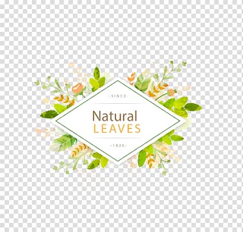 Natura leaves log o, Leaf Euclidean , green leaf frame title transparent background PNG clipart