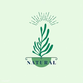 Natural and organic product icon | Free stock vector - 473062