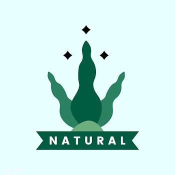 Natural and organic product icon | Free stock vector - 473092