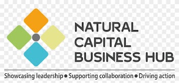 Natural Capital Business Hub Logo - Natural Capital Coalition