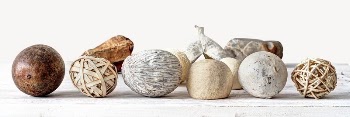 Natural decoration collage element psd | Free PSD - rawpixel
